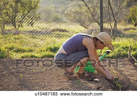 Stock Image - gardening on organic farm in Spain. Fotosearch