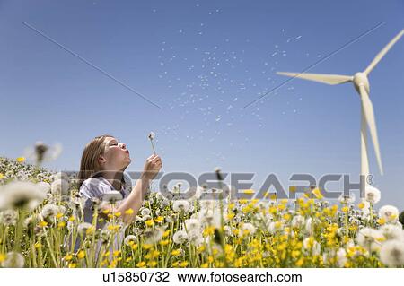 Girl blowing dandelion at wind turbine View Large Photo Image Stock Image - Girl blowing dandelion at wind turbine. Fotosearch