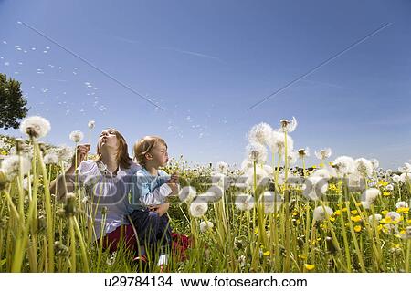 Picture - Girl, boy blowing dandelions. Fotosearch