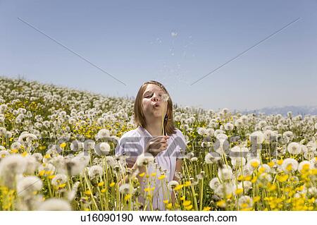 Stock Image - Girl in meadow blowing dandelion seeds. Fotosearch