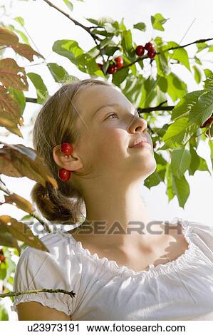 girl picking cherries on tree View Large Photo Image Stock Image - girl picking cherries on tree. Fotosearch