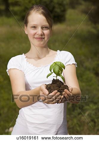 girl with basil plant View Large Photo Image Stock Image - girl with basil plant. Fotosearch