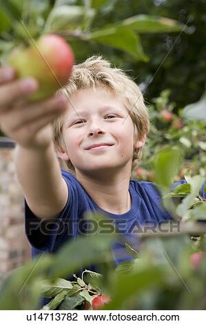 Stock Image - Harvest Time 05. Fotosearch