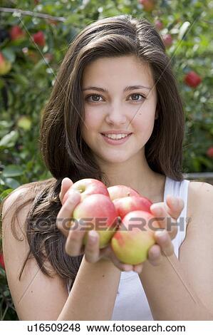 Harvest Time 09 View Large Photo Image Stock Photo - Harvest Time 09. Fotosearch