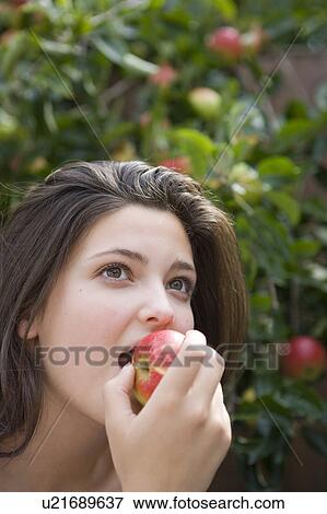 Harvest Time 13 View Large Photo Image Stock Photo - Harvest Time 13. Fotosearch