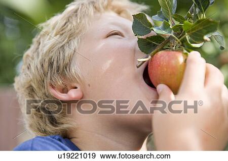 Stock Photo - Harvest Time 14. Fotosearch