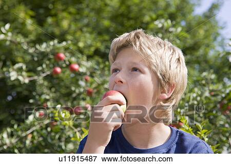 Stock Photo - Harvest Time 16. Fotosearch