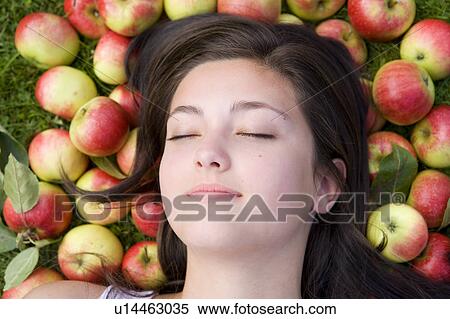 Stock Photography - Harvest Time 17. Fotosearch