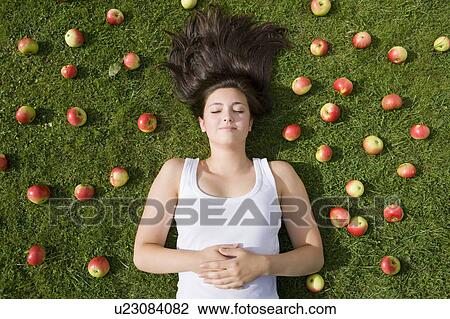 Stock Image - Harvest Time 19. Fotosearch