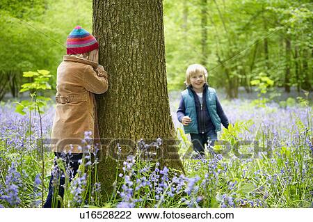 Kids playing in the forest View Large Photo Image Stock Image - Kids playing in the forest. Fotosearch