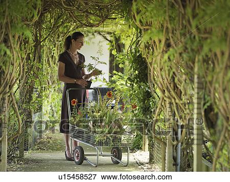 Lady Buying Plants At Garden Center View Large Photo Image Stock Photo - Lady Buying Plants At Garden Center. Fotosearch