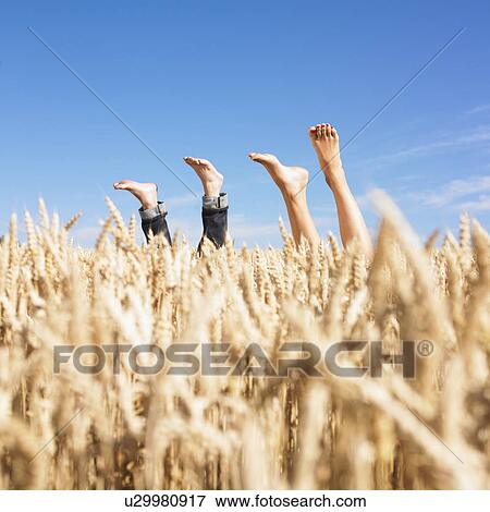Stock Photo - legs in wheat field. Fotosearch
