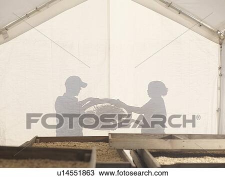 Stock Image - Man And Woman Processing Coffee Beans. Fotosearch