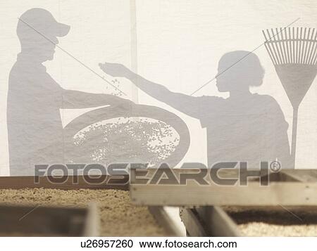 Man And Woman Processing Coffee Beans View Large Photo Image Stock Image - Man And Woman Processing Coffee Beans. Fotosearch