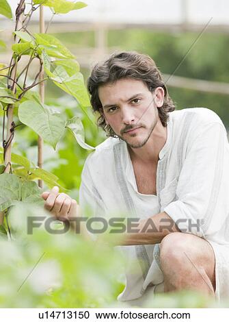 Stock Image - Man gardening in greenhouse. Fotosearch