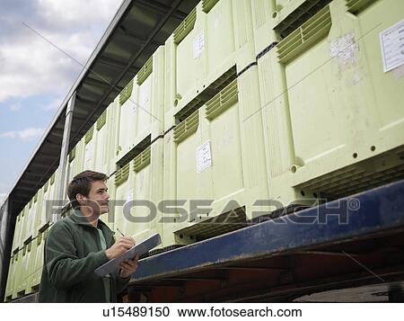 Stock Image - Man & Harvested Blackcurrants On Lorry. Fotosearch