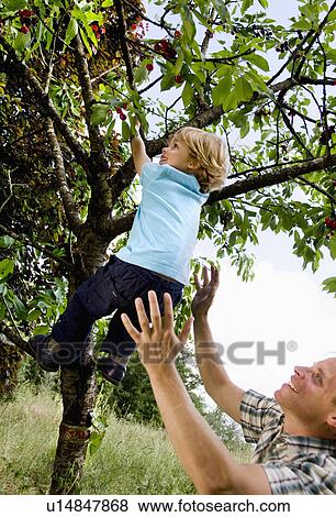 man helping son to climb tree View Large Photo Image Stock Photo - man helping son to climb tree. Fotosearch