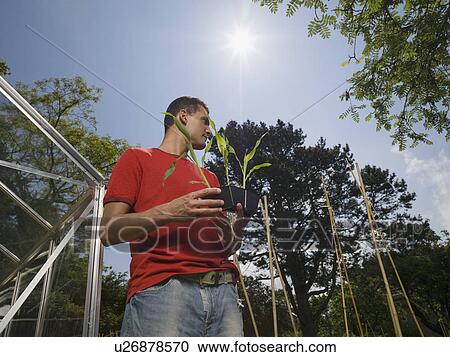 Stock Image - Man in garden planting. Fotosearch