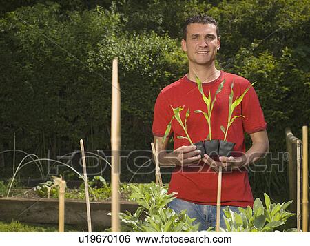 Stock Photograph - Man in garden planting. Fotosearch