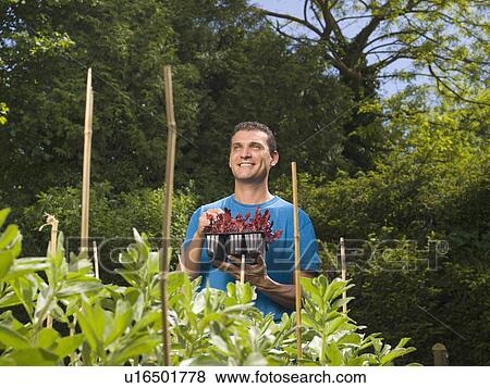 Stock Photo - Man in garden preparing to plant. Fotosearch