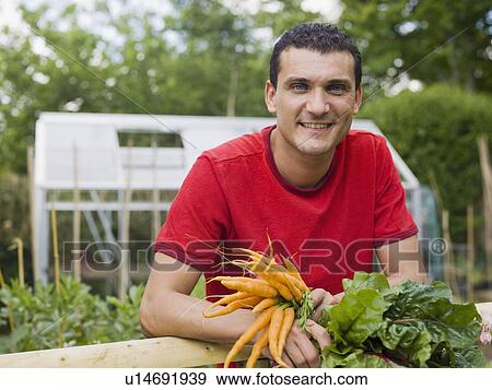 Man in garden with vegetable crops View Large Photo Image Stock Photo - Man in garden with vegetable crops. Fotosearch