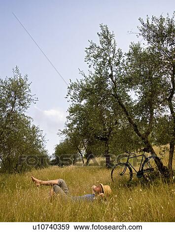 man lying in grass under olive tree View Large Photo Image Stock Photo - man lying in grass under olive tree. Fotosearch