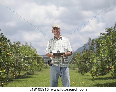 Stock Photography - Man With Clipboard In Orange Grove. Fotosearch