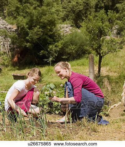 mother and daughter planting in garden View Large Photo Image Stock Photography - mother and daughter planting in garden. Fotosearch