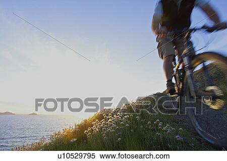 Mountain biker on a coastal track. View Large Photo Image Stock Photography - Mountain biker on a coastal track.. Fotosearch