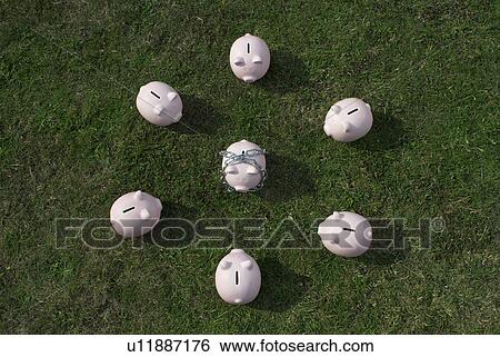 piggy bank in chain surrounded View Large Photo Image Stock Photograph - piggy bank in chain surrounded. Fotosearch