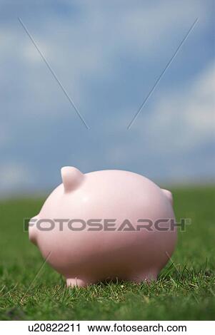 Stock Image - piggy bank in field. Fotosearch