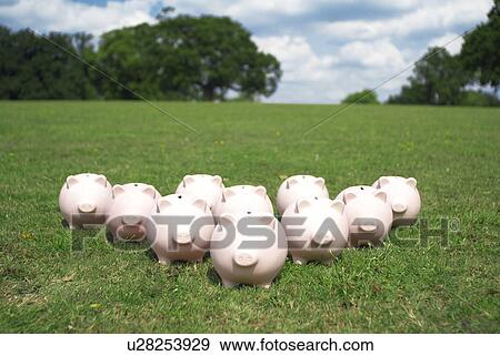 Stock Photo - piggy banks in a park. Fotosearch