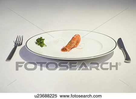 prawn cowering on plate View Large Photo Image Stock Photography - prawn cowering on plate. Fotosearch