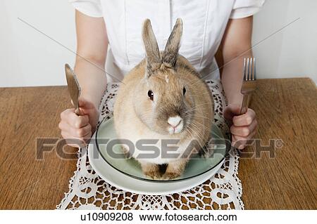 Stock Photo - Rabbit sitting on a plate. Fotosearch
