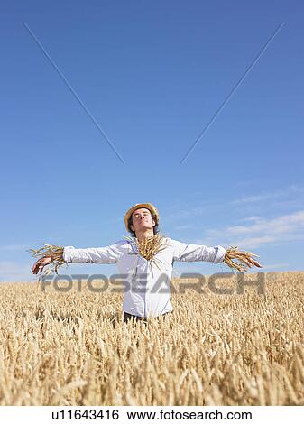 Stock Photograph - scarecrow in wheat field. Fotosearch