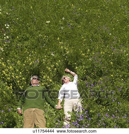 Senior couple lying in field of flowers View Large Photo Image Picture - Senior couple lying in field of flowers. Fotosearch