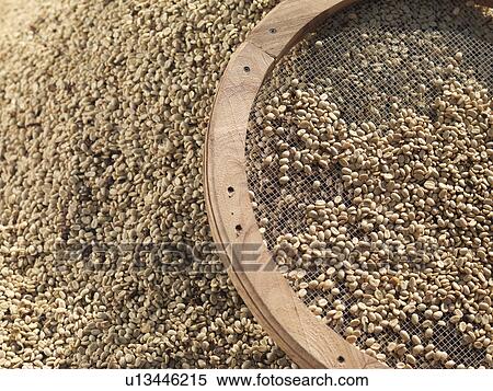 Sieve With Coffee Beans View Large Photo Image Stock Photography - Sieve With Coffee Beans. Fotosearch