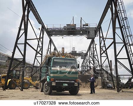 Stock Photo - Sugar Cane In Lorry At Plant. Fotosearch