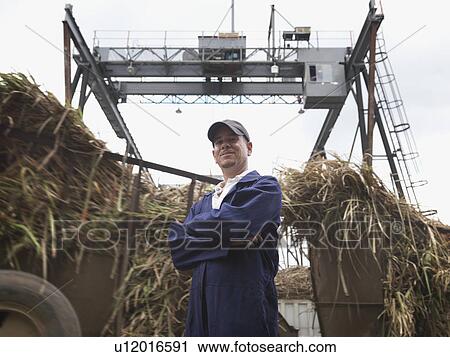 Sugar Cane Worker At Processing Plant View Large Photo Image Stock Image - Sugar Cane Worker At Processing Plant. Fotosearch