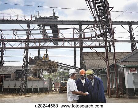Sugar Cane Workers At Processing Plant View Large Photo Image Stock Photo - Sugar Cane Workers At Processing Plant. Fotosearch