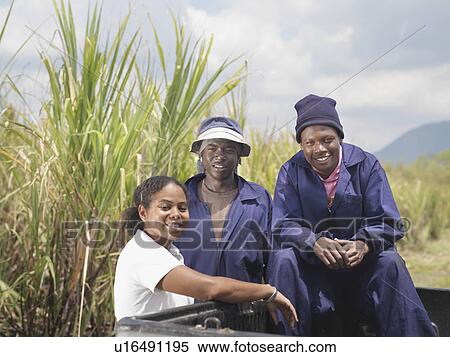 Stock Photography - Sugar Cane Workers In Pickup Truck. Fotosearch