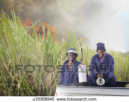 Stock Image - Sugar Cane Workers With Fire. Fotosearch