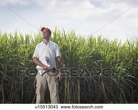 Stock Image - Supervisor With Clip Board & Sugar Cane. Fotosearch