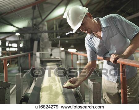 Stock Photo - Supervisor With Processed Sugar Cane. Fotosearch