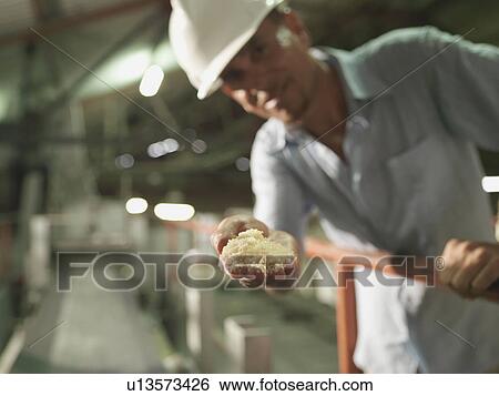 Stock Photograph - Supervisor With Processed Sugar Cane. Fotosearch