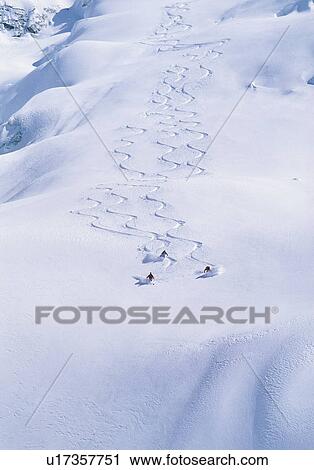 Three skiers skiing down a powder field View Large Photo Image Stock Image - Three skiers skiing down a powder field. Fotosearch