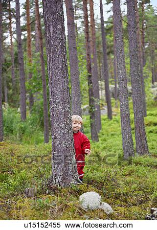 Stock Photography - Toddler hiding behind tree in forest. Fotosearch