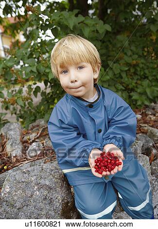 Stock Image - Toddler holding wild strawberries. Fotosearch