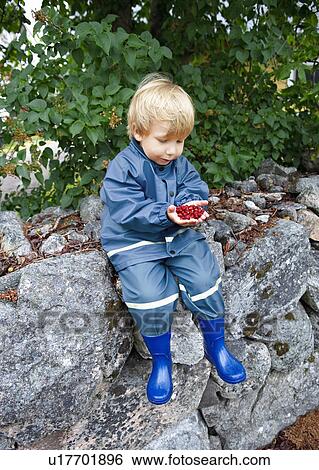 Stock Photograph - Toddler holding wild strawberries. Fotosearch