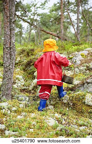 Stock Image - Toddler with basket walking in forest. Fotosearch